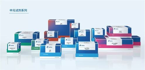 探秘體外診斷科技 大渡口生物醫(yī)藥企業(yè)的高技術(shù)服務(wù)版圖